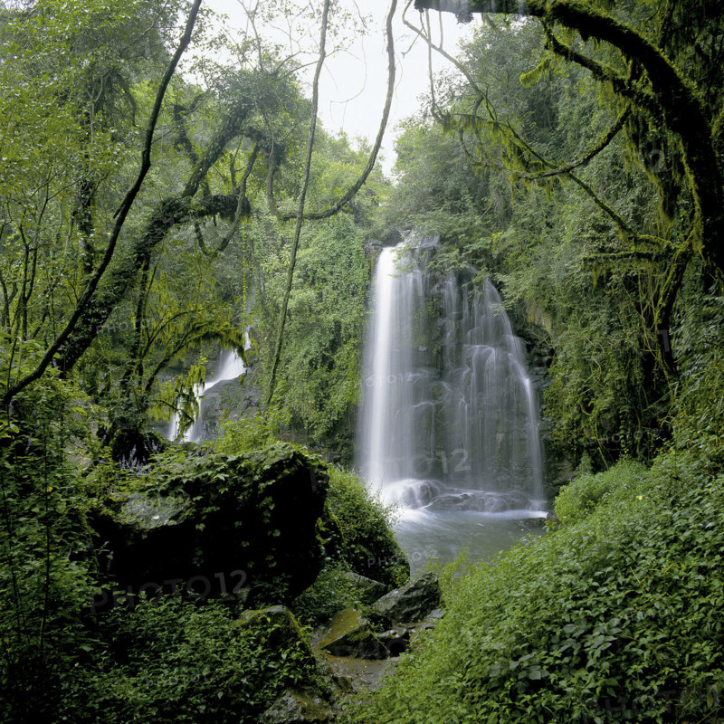 HORSE SHOE FALLS