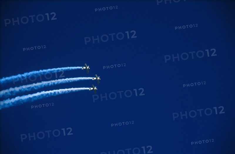 Shurlok Aerial Acrobatic team