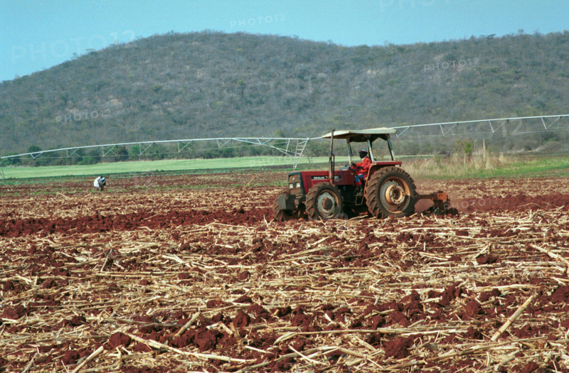 Zimbabwean agricultural production 2