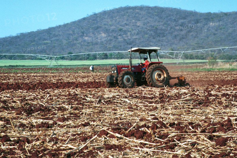 Zimbabwean agricultural production