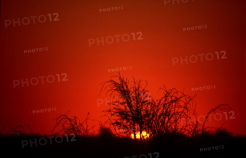 Sunset2