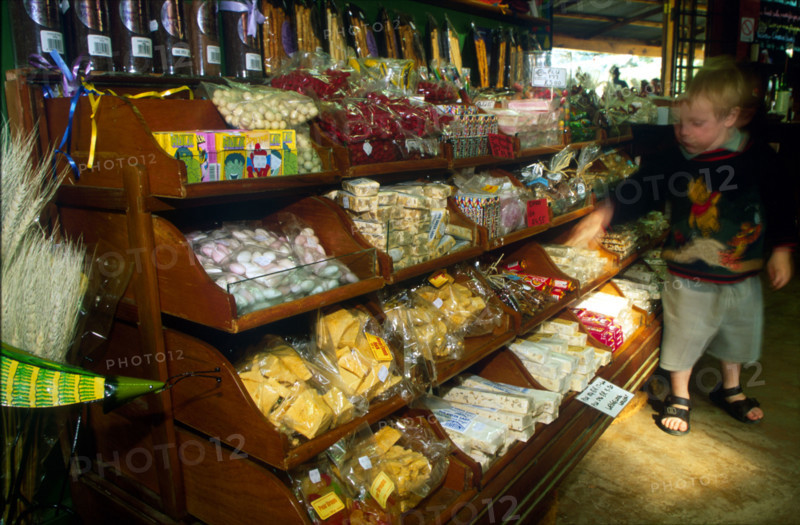 child in a sweet shop