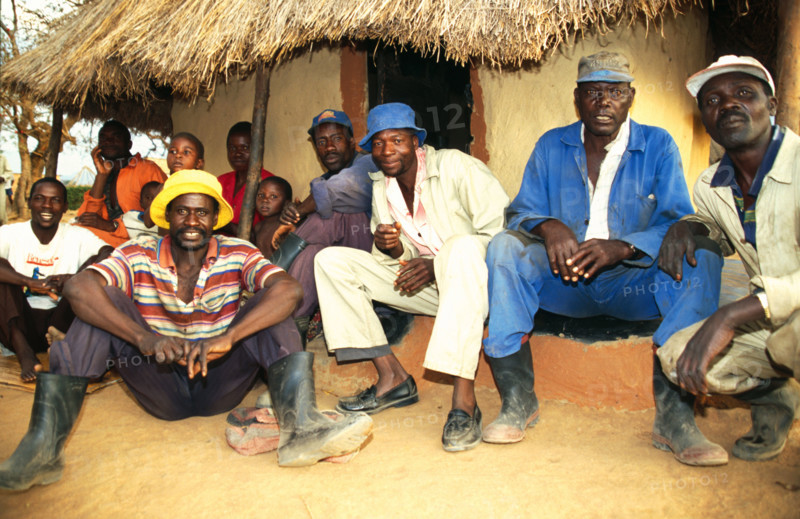 Zimbabwean farm labourers