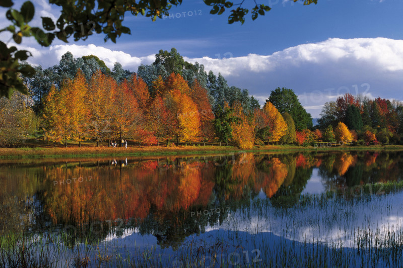 Autumn Reflections