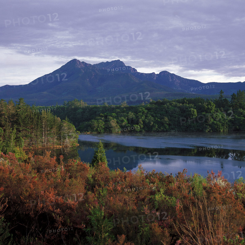 George Dam