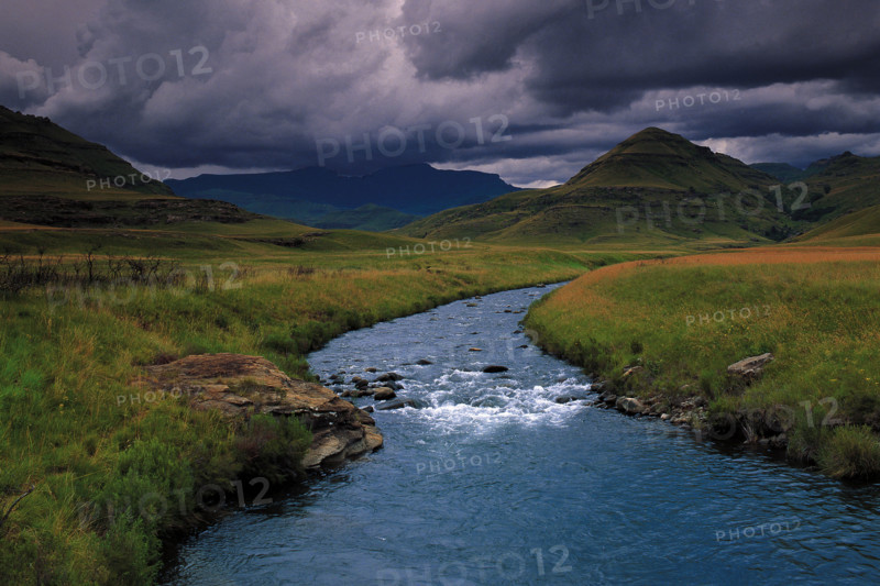 COBHAM, DRAKENSBERG