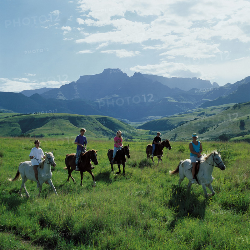 HORSE RIDERS
