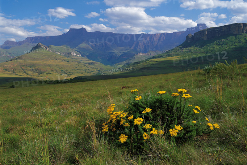 Amphitheater, Drakensberg