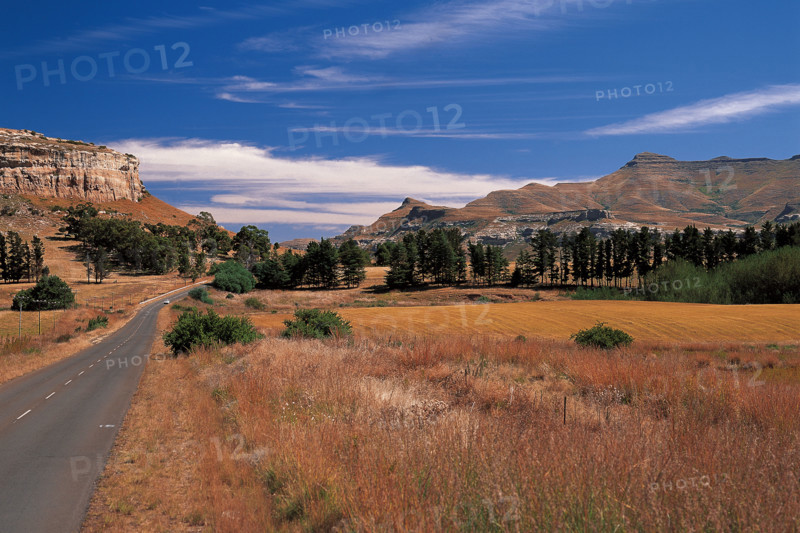 A road in the Free State