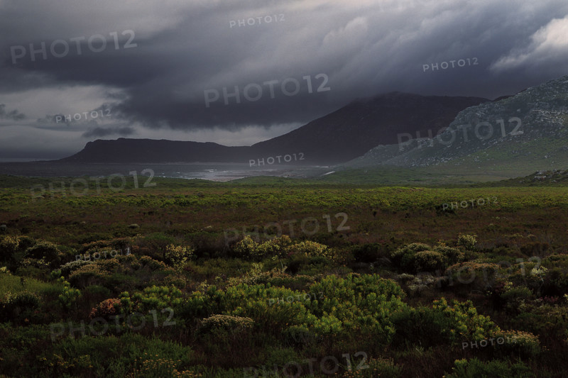 The Cape of Storms