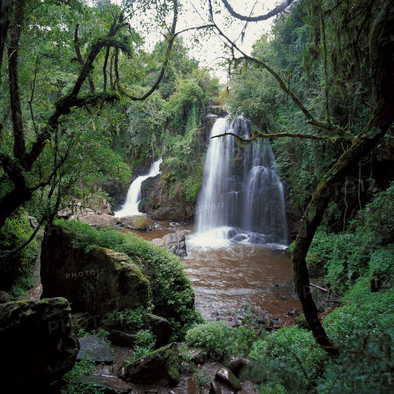 Horseshoe falls