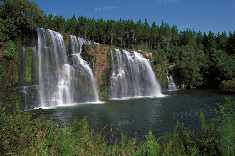 FOREST FALLS