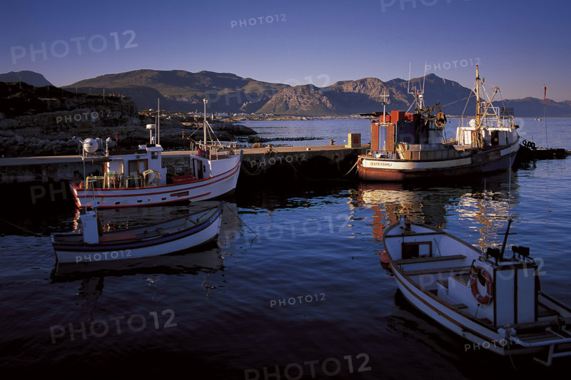 Hermanus harbour