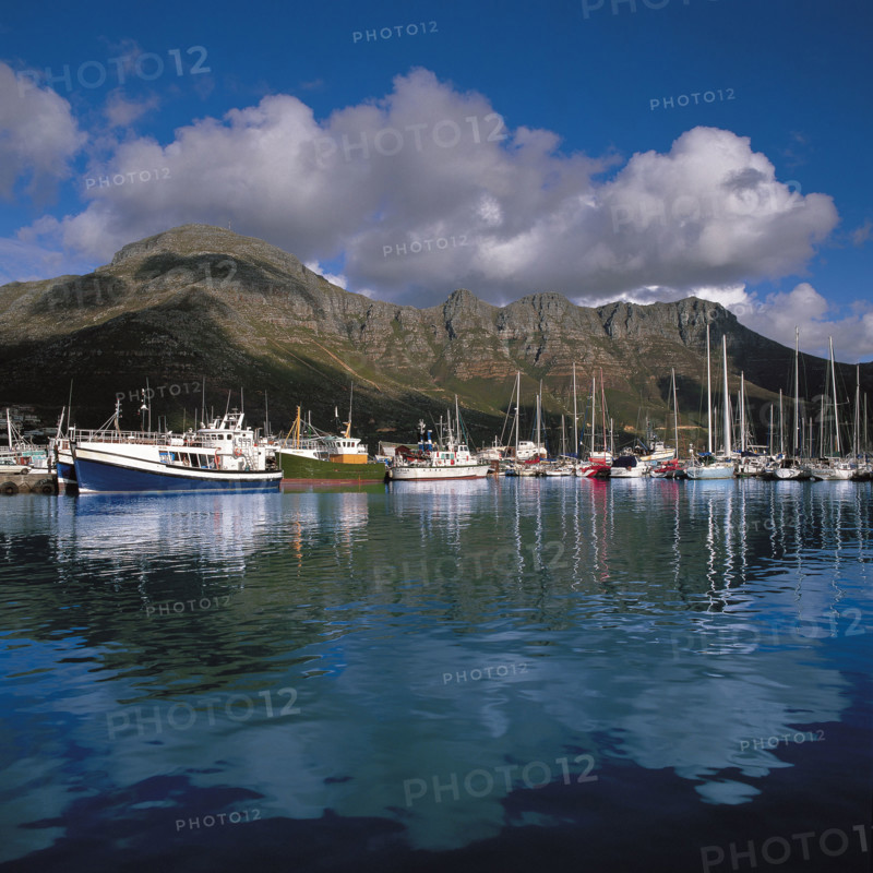 HOUT BAY HARBOUR