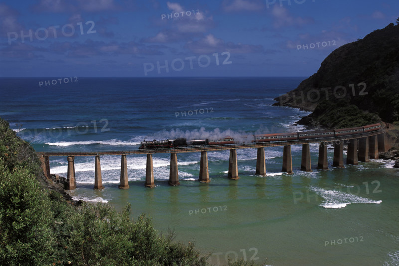OUTENIQUA CHOO-TJOE