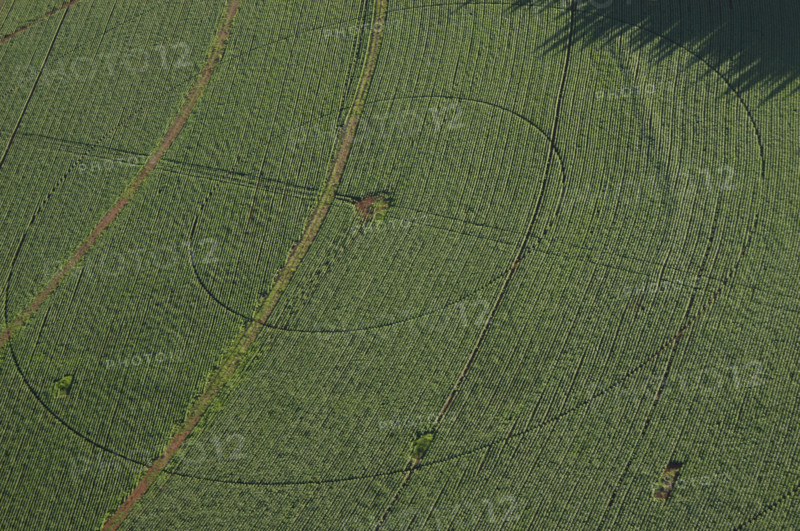 aerial view of field