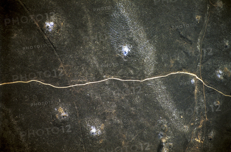 burnt grass path 2
