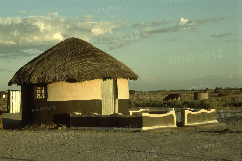 Decorated Hut
\n