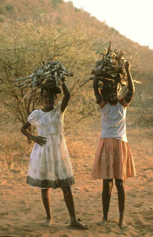 TWo girls carring fire wood.
\n