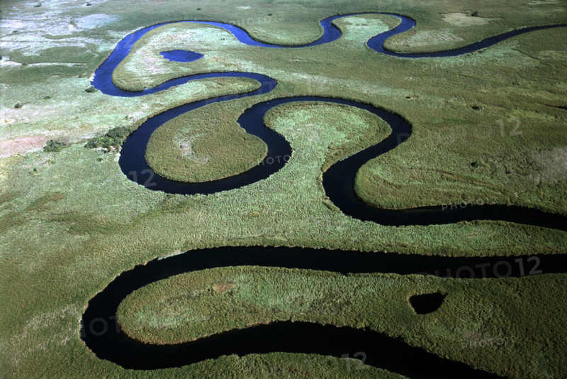 Okavango Aerial
\n
