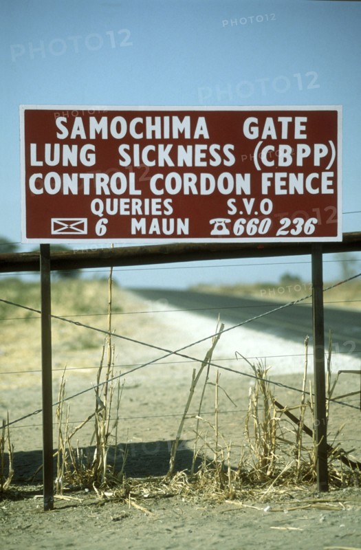 Vet Fence
\n