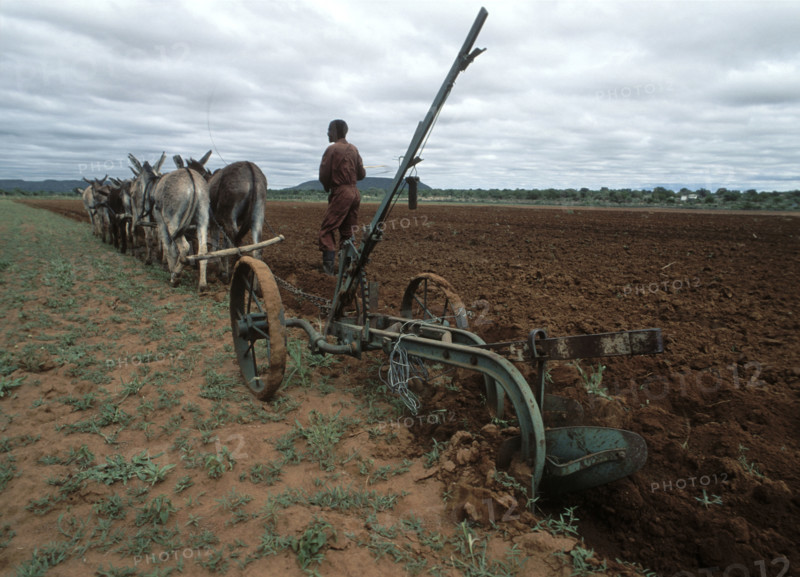 Ploughing the Fields
\n