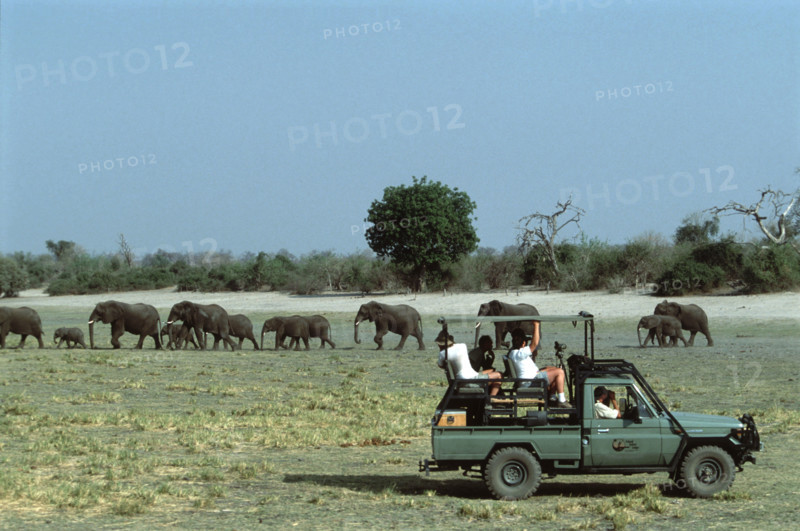 Game viewing