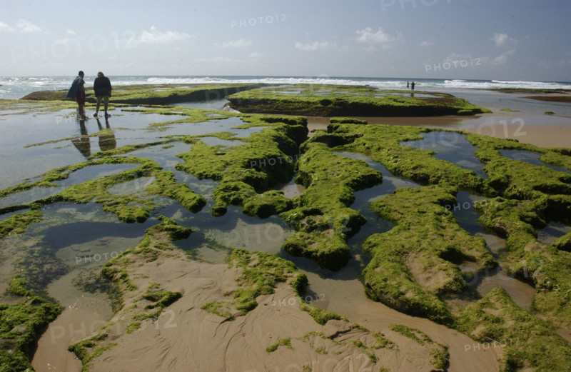 Rock Pools