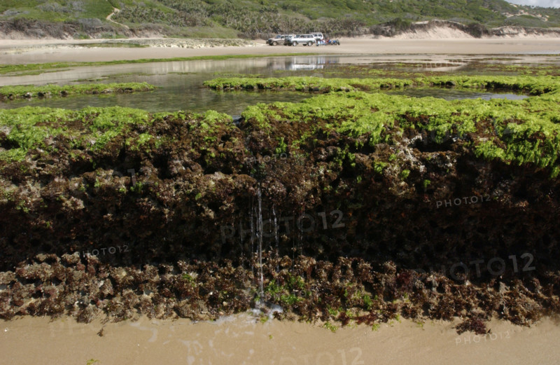 rock pool