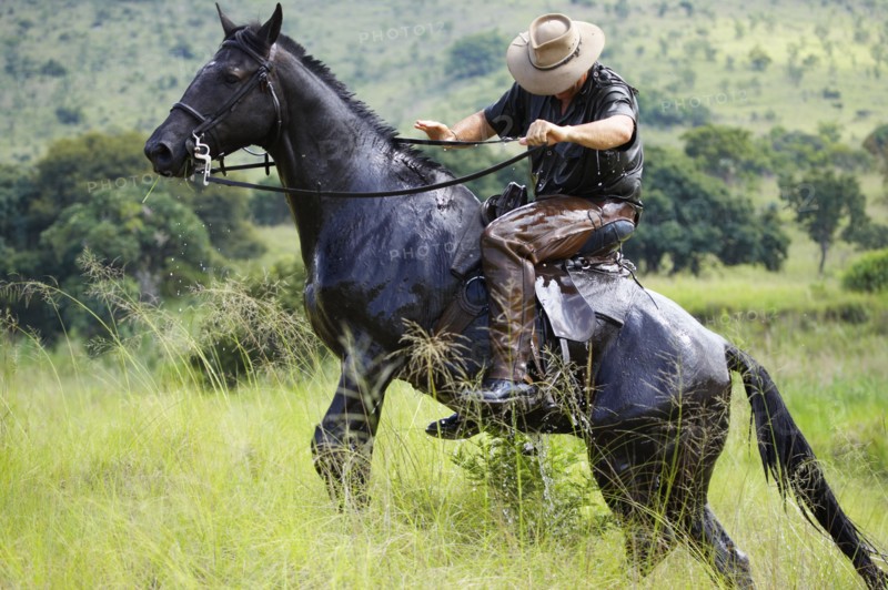 Visiteurs avec les Safaris 'South African Horse Back"