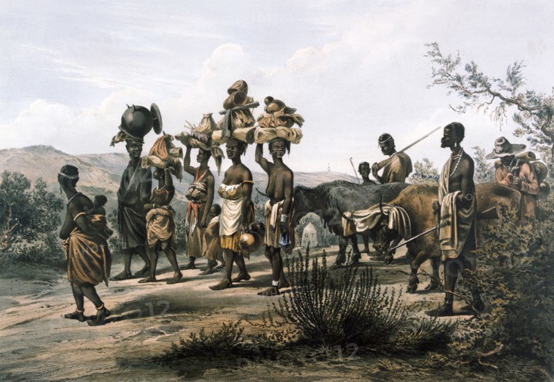 Baines, Départ de familles xhosas