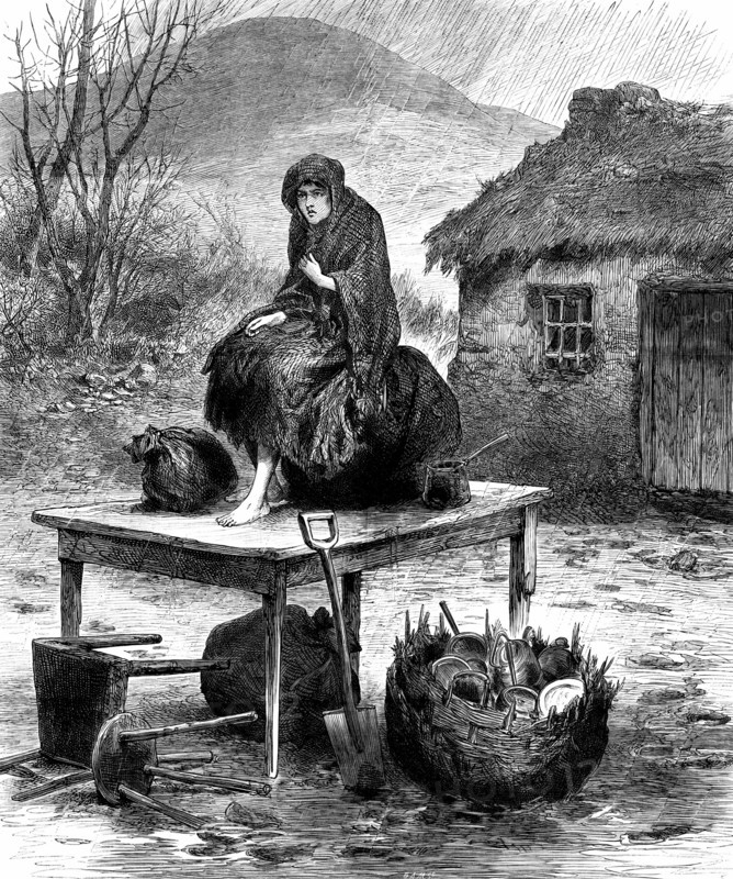 Potato Famine: Irish peasant girl guarding the family's last few  possessions