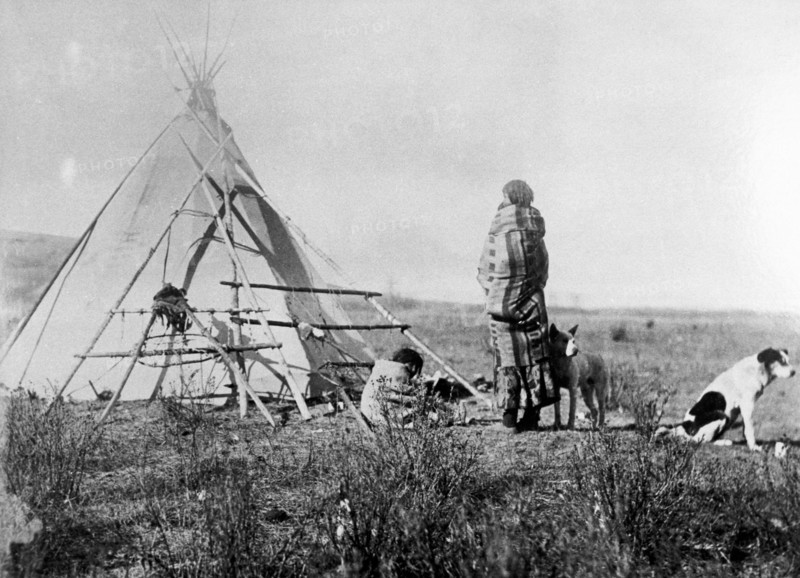 Jeune squaw Cris devant son tipi, fin 19e siècle