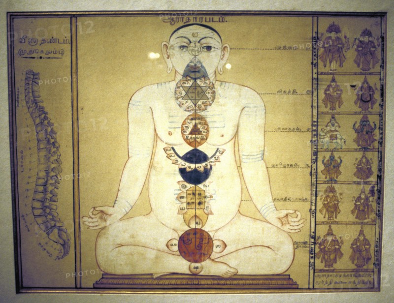 Six chakras représentant les plexus du corps humain