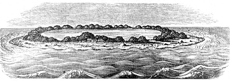Engraving showing a coral reef creating a lagoon
