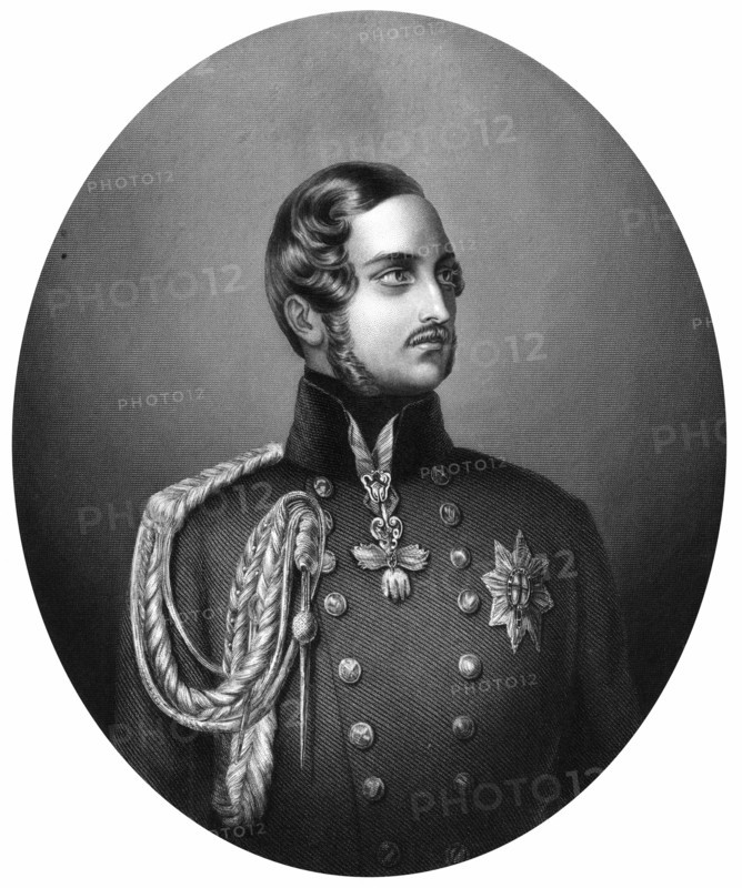 Portrait d'Albert de Saxe-Cobourg-Gotha