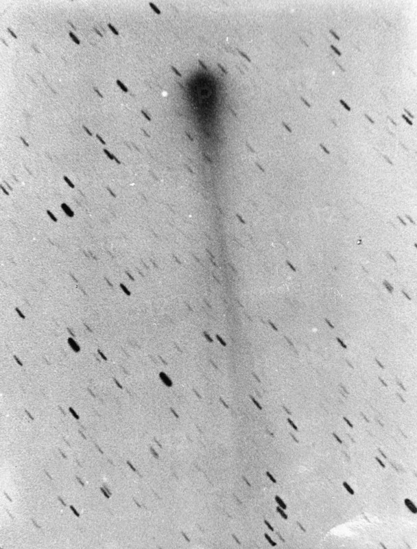 Comet 1892a, Swift, May 1892, from a negative photograph by Dr Max Wolf (1863-1932)