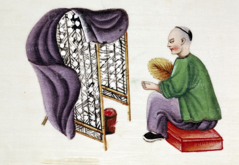 Peinture chinoise; Homme asséchant des cocons de vers à soie