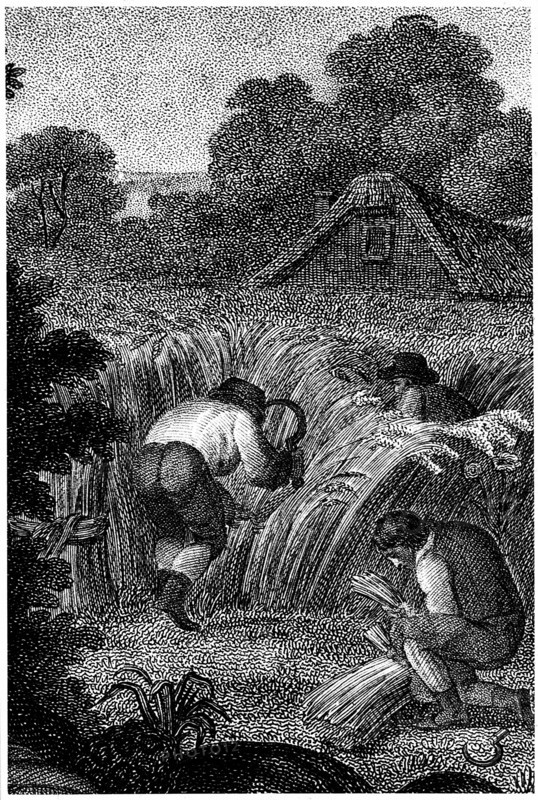Harvest
