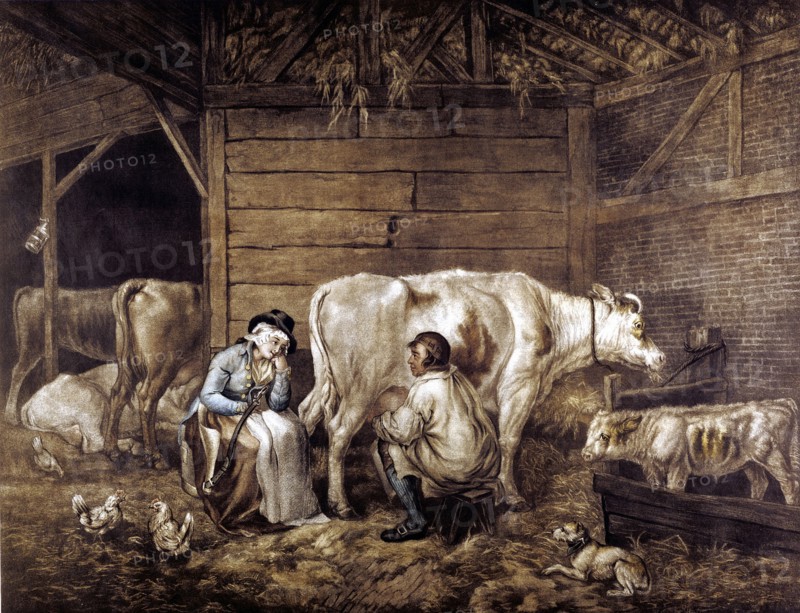 The Cowshed