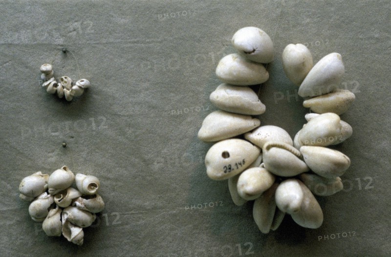 Colliers de coquillages