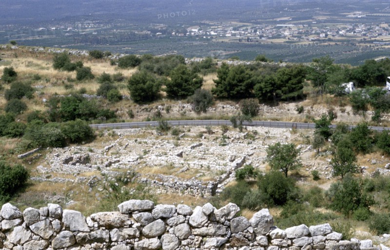 Mycenea
