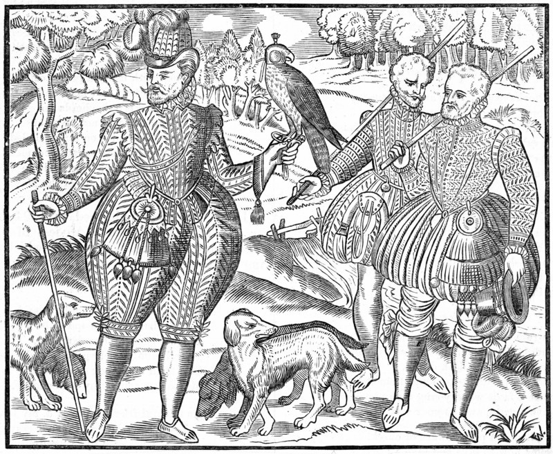 The Falconer