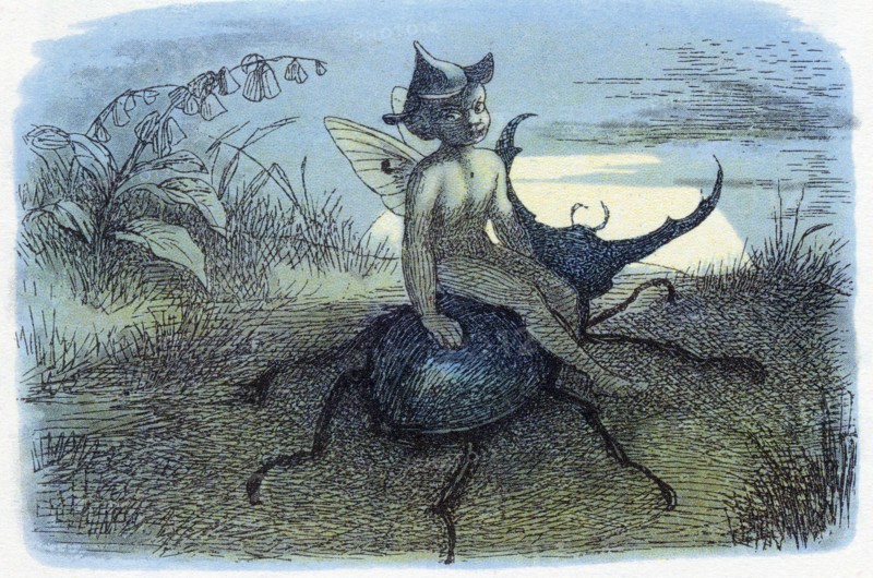 The Fairy Queen's Messenger: Illustration by R Doyle for a poem by William Allingham c1870
