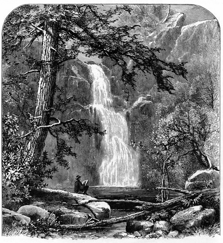 Waterfall in the Yosemite Valley
