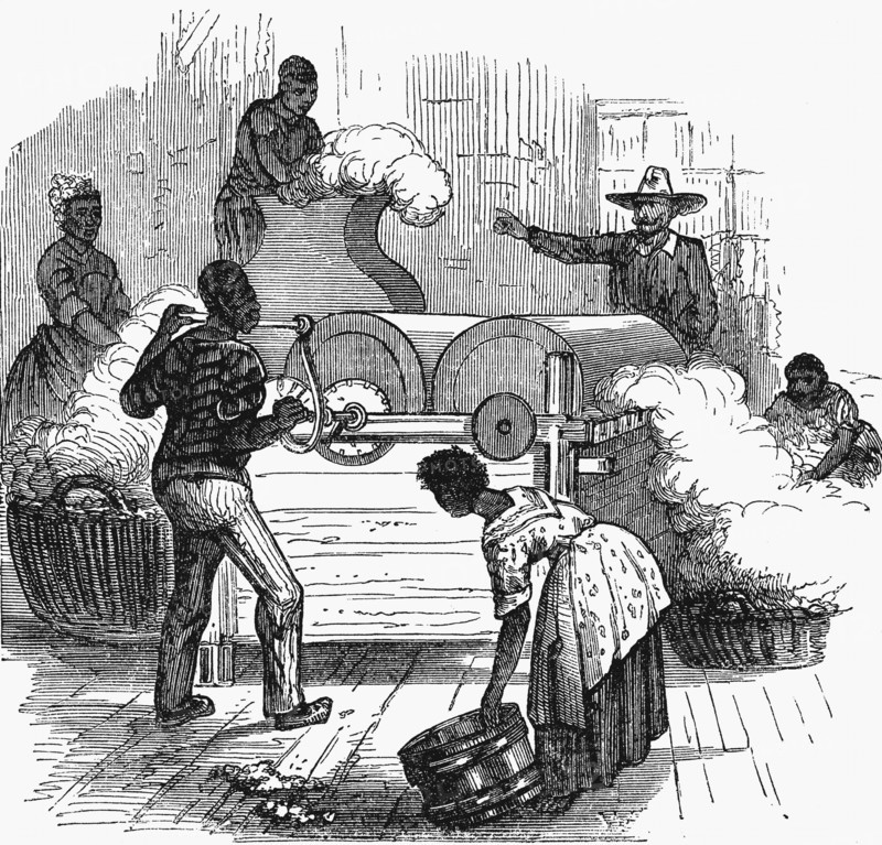 Putting cotton bolls through whipping press