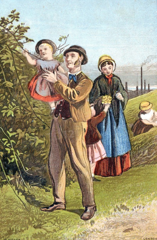 The Country Walk
