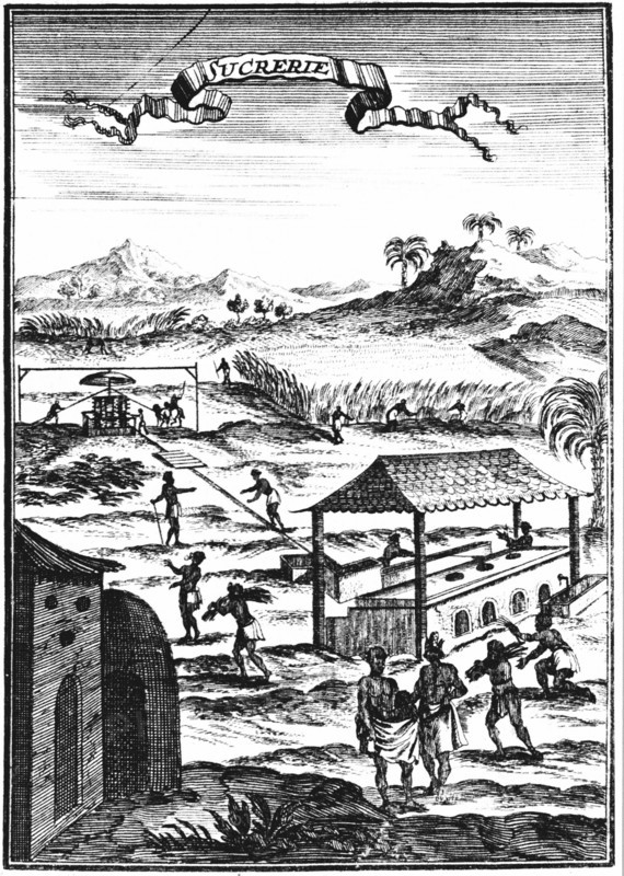 Sugar factory and plantation in the West Indies