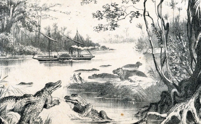 David Livingstone