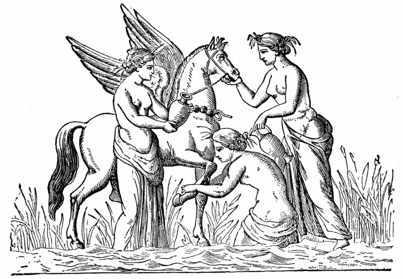 Nymphs attending the winged horse